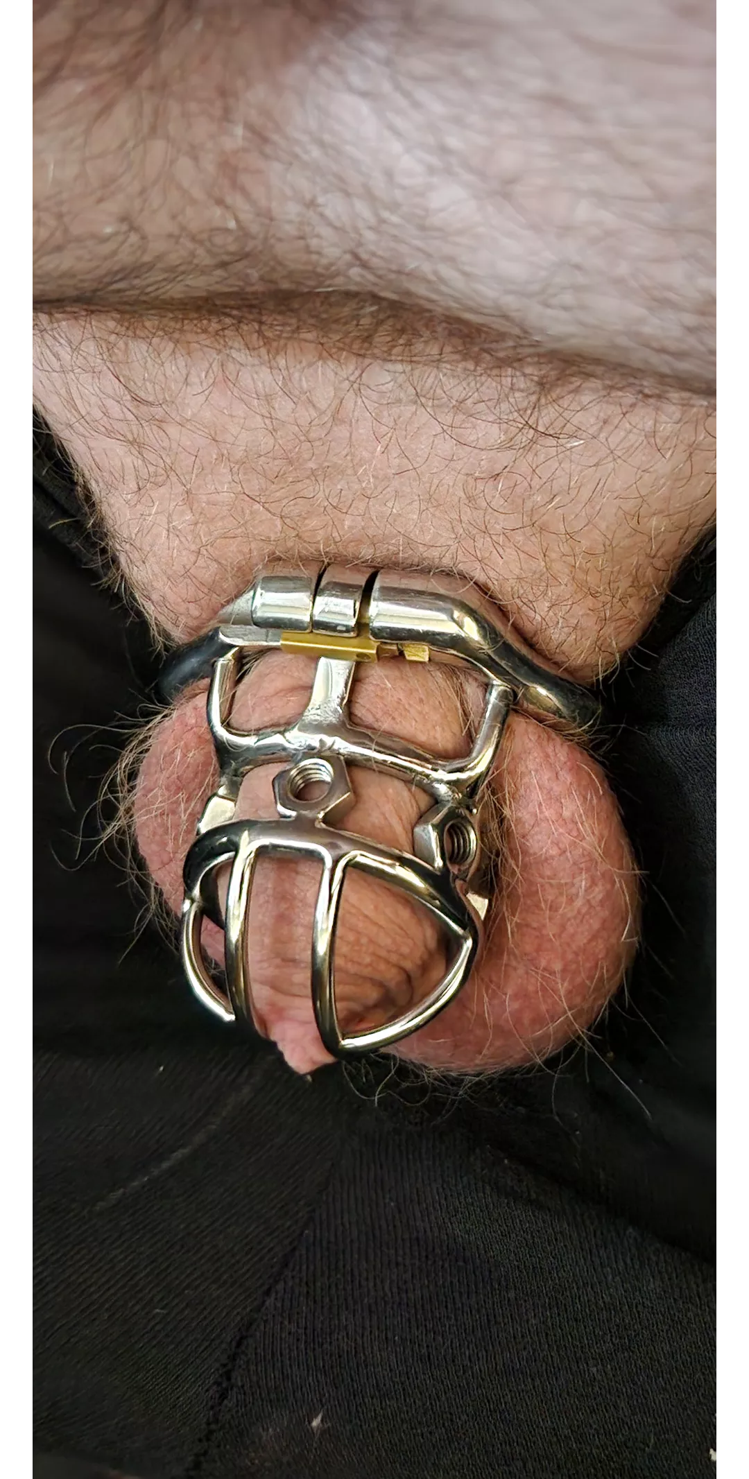 This is the smallest cage i have