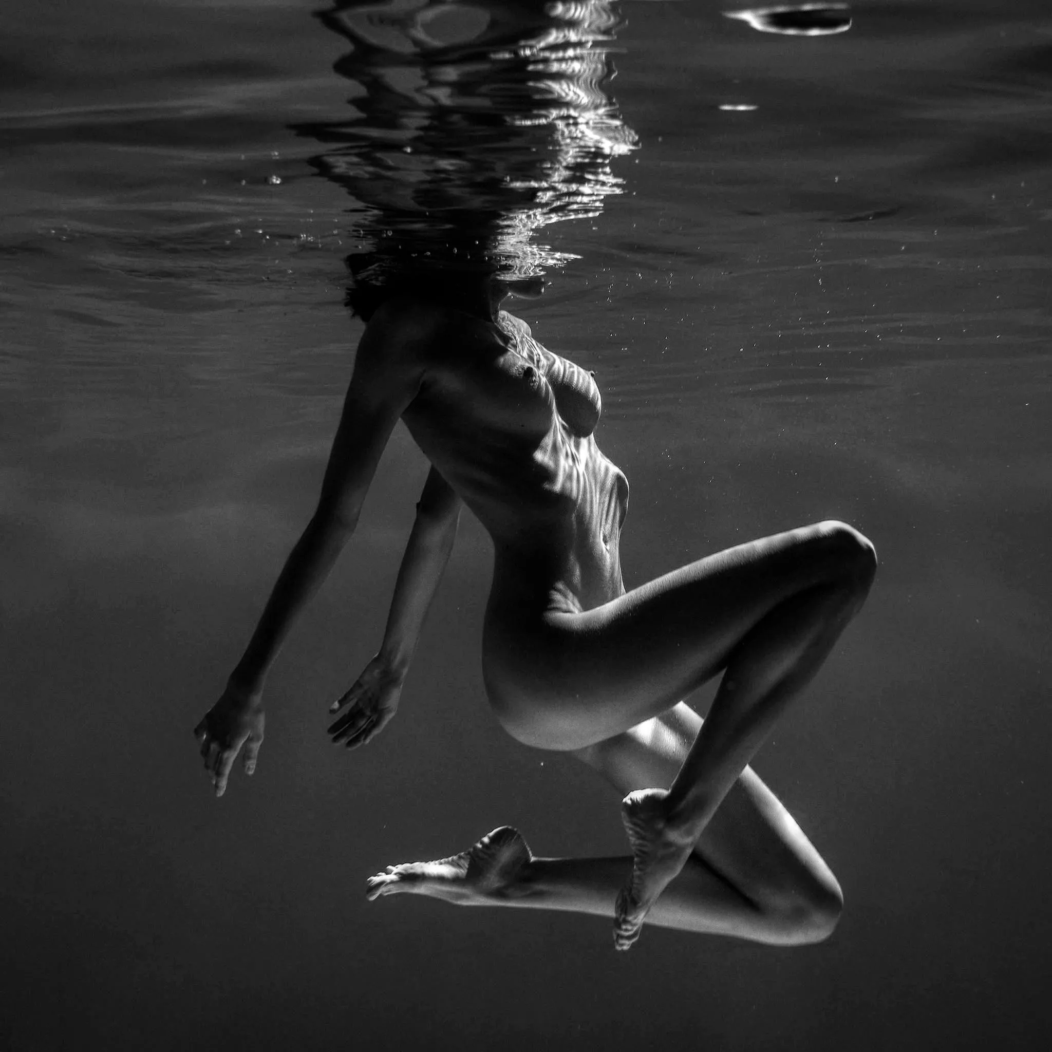 Where fishes go, by Pavlo Protsenko