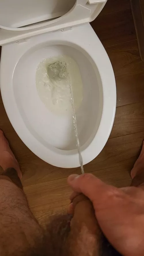 Breaking in the hotel toilet