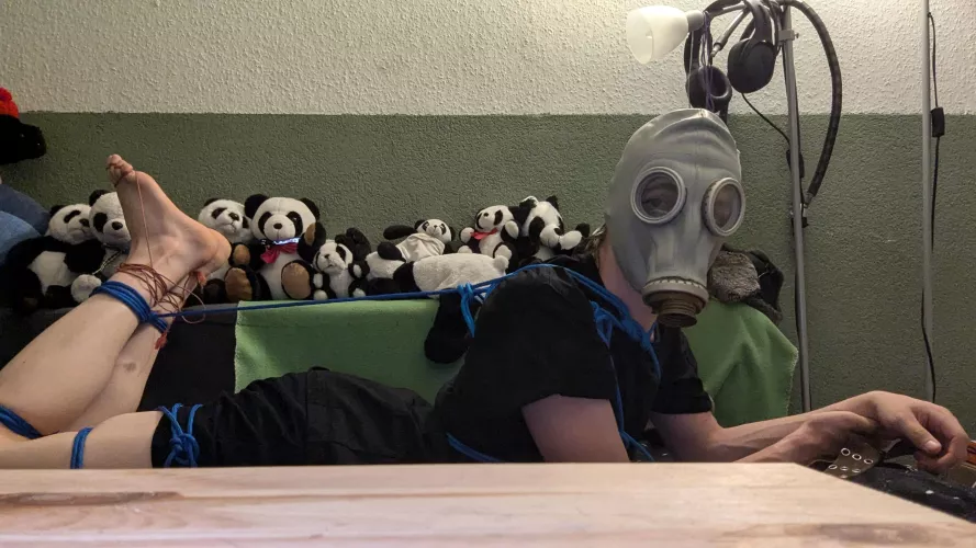 Decided to do a hog tie tonight 