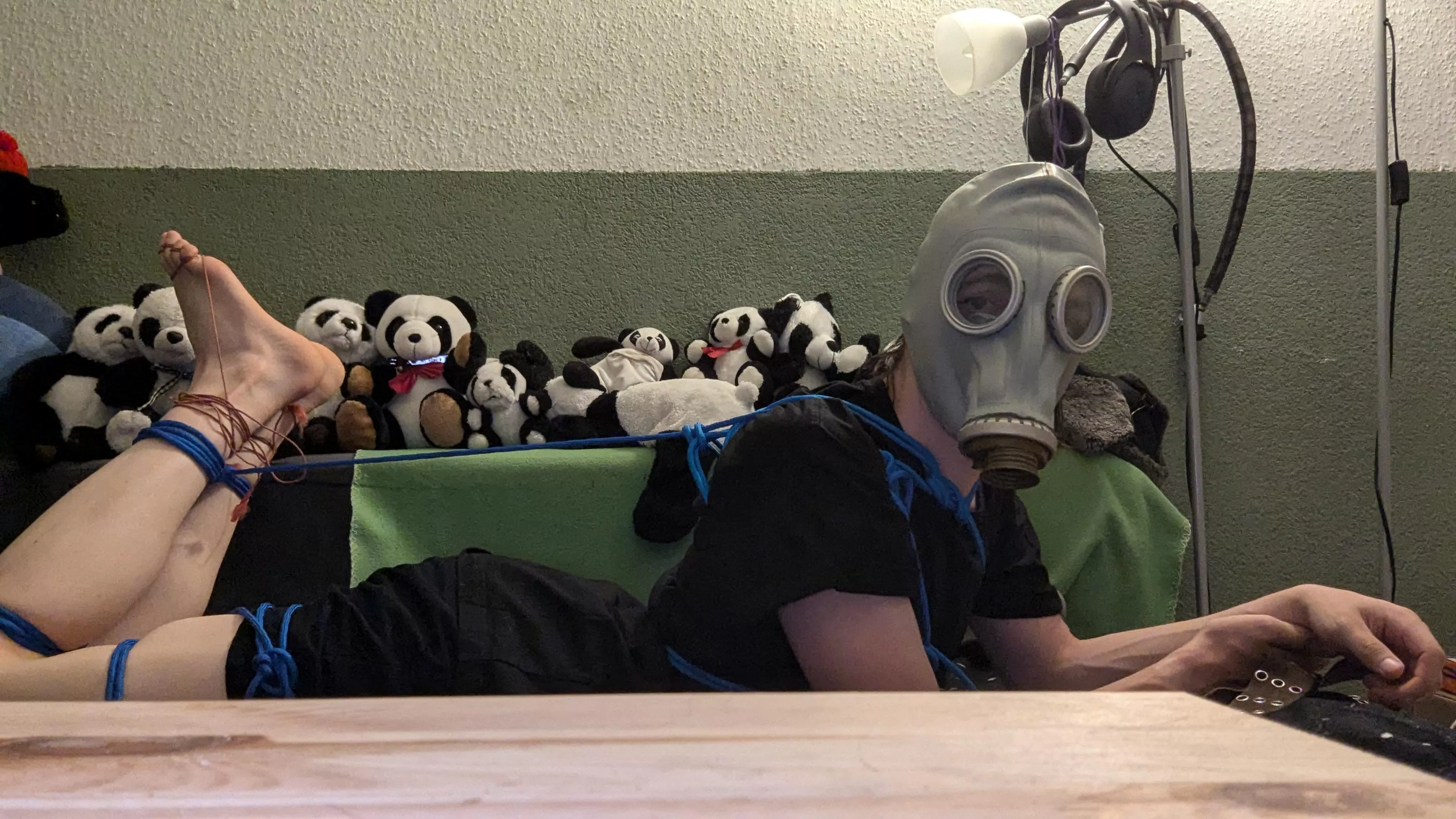 Decided to do a hog tie tonight 