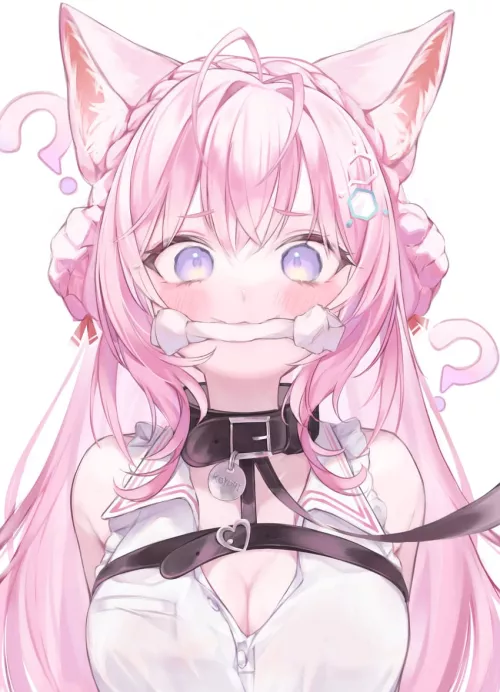 Do you like your new collar with leash? I got it specially for you!