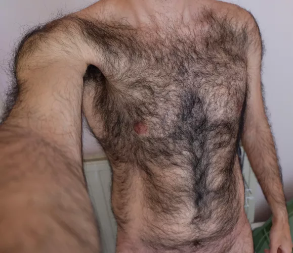 First post here, curious what you think.