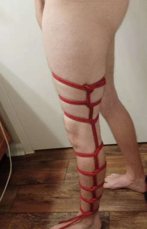 Nothing special I just find leg ladders so satisfying. 