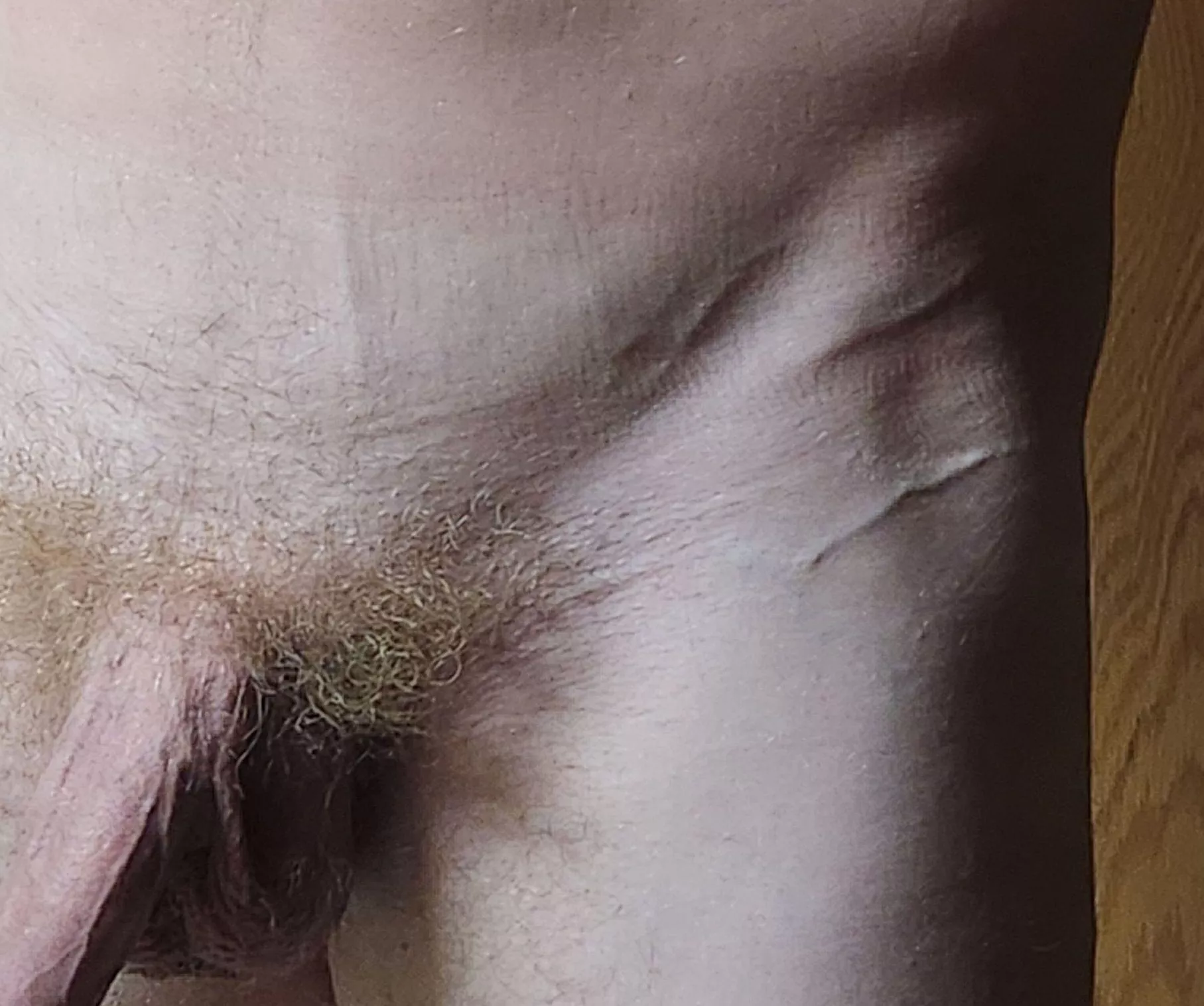 Summer cut is going great 🤙 (M)