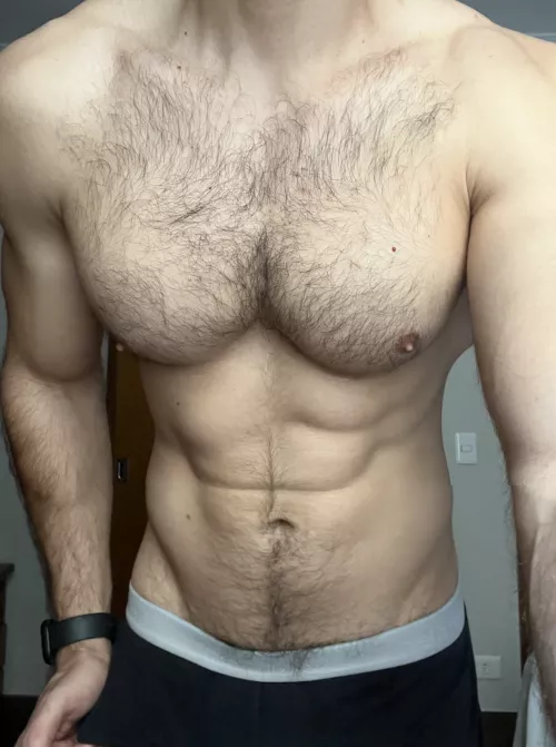 What are we hitting today 💪?