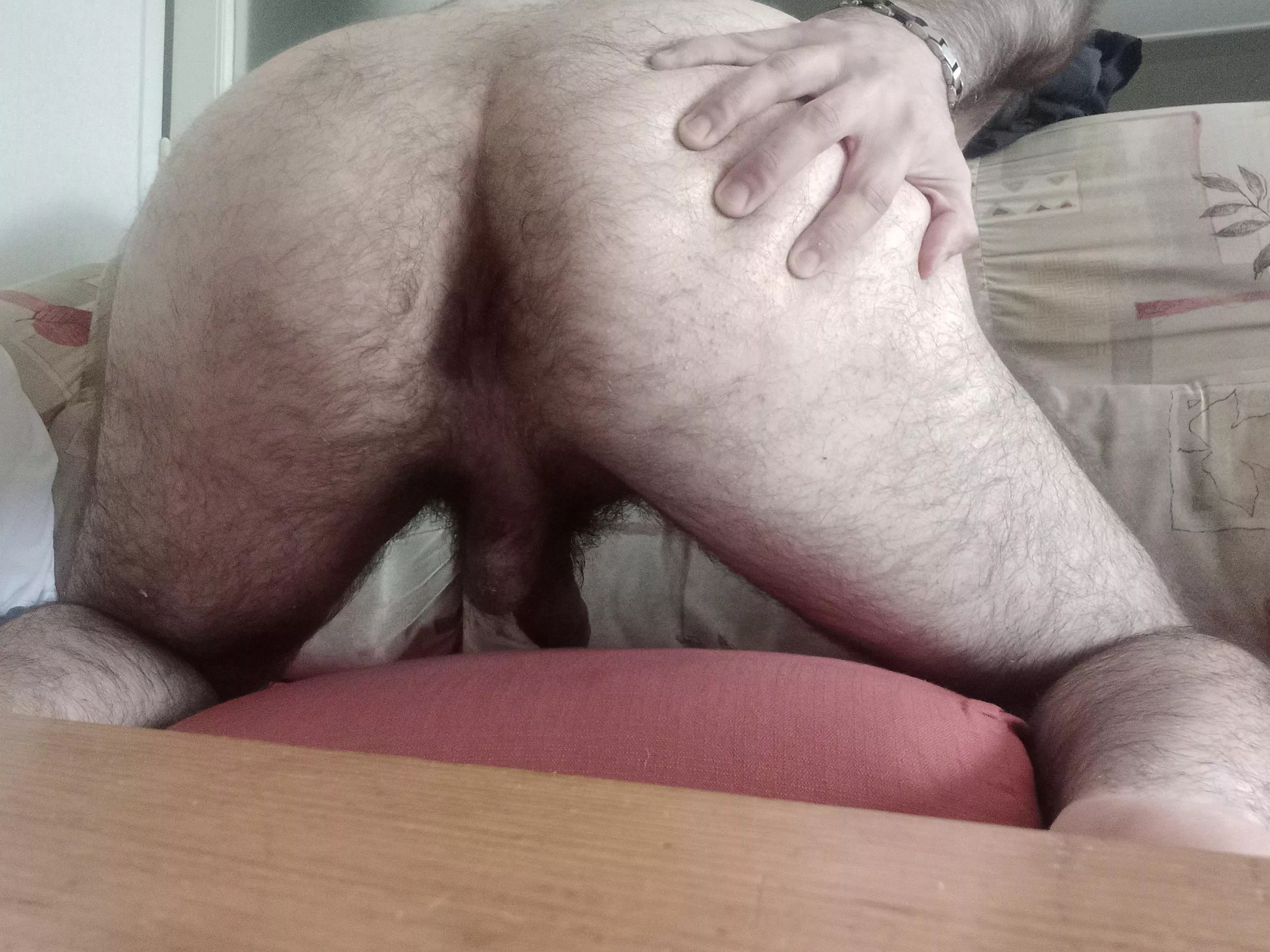 Who wants to lick my hairy ass ?
