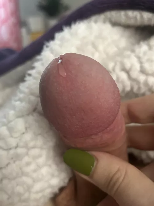 (24) Femboy precum?
