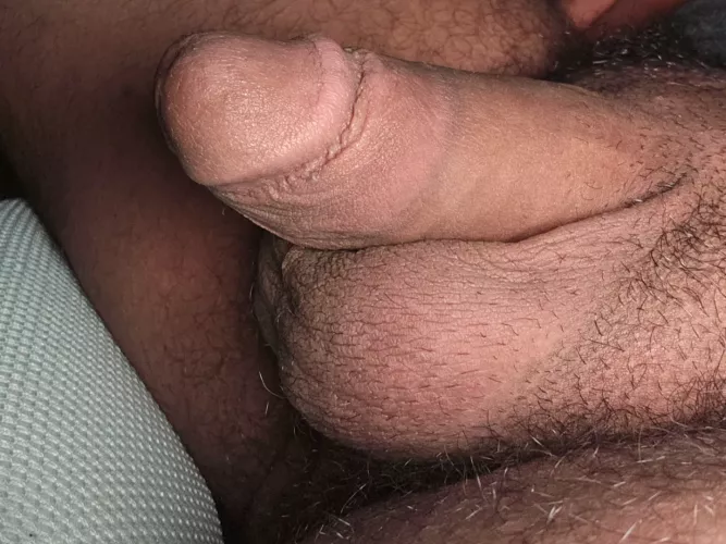 (28) Anyone else obssessed with circumcised cock?
