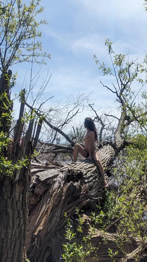 Always looking for the good sunbathing spots