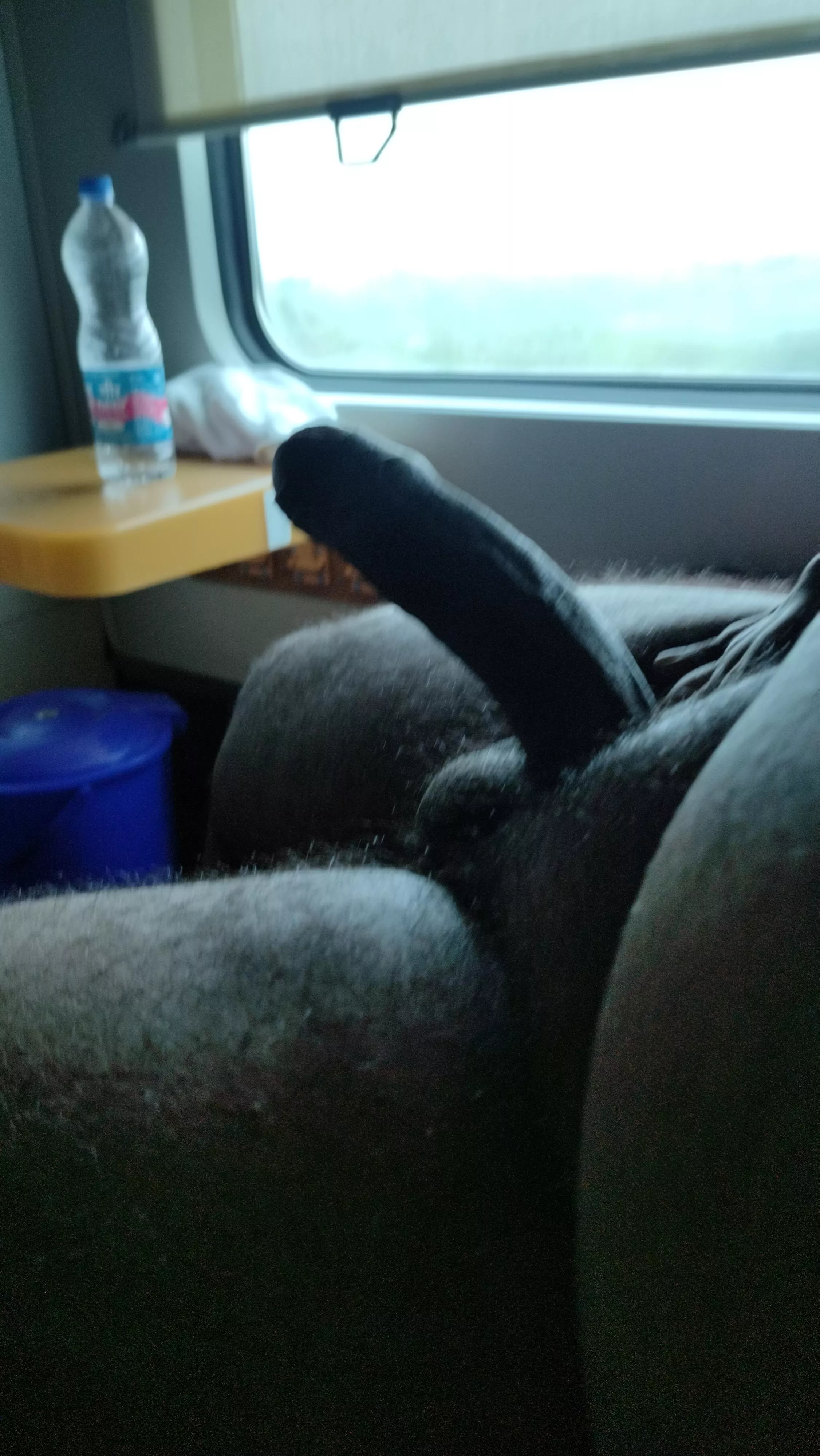 Bored in the train ..... I wish any milf or gilf joins the journey along with me 