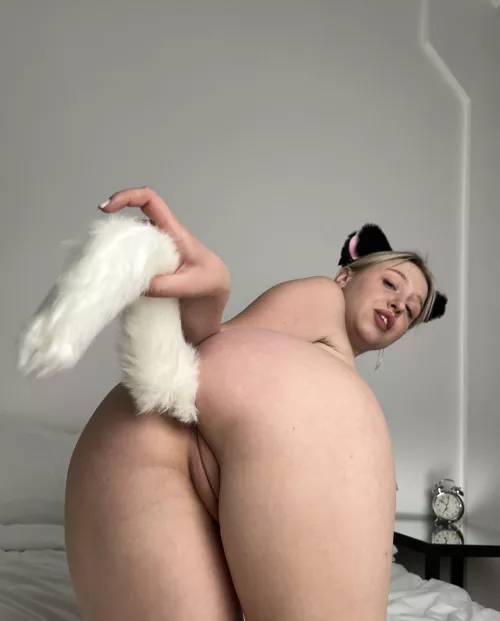 do you think I could be a good enough cat for a good master like you?