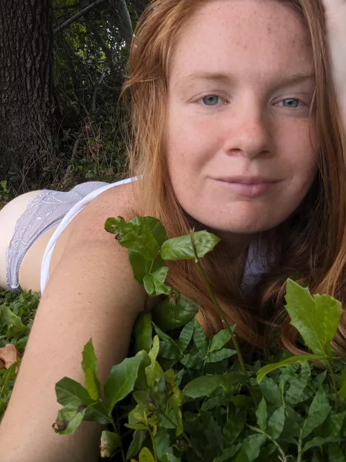 Ginger dreams delicacies of temptation🍰 [F27]