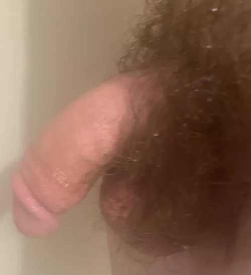 Here’s mine fresh from the shower (18)
