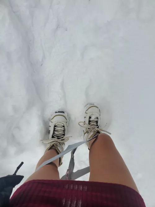 It is a good snow day