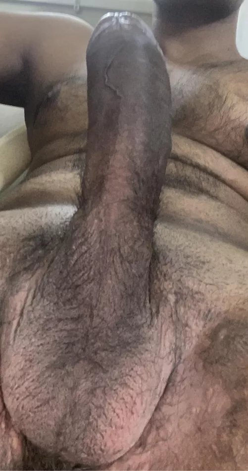 Let’s not beat-around the bush why don’t you tell me straight away the things you would do to me (24)