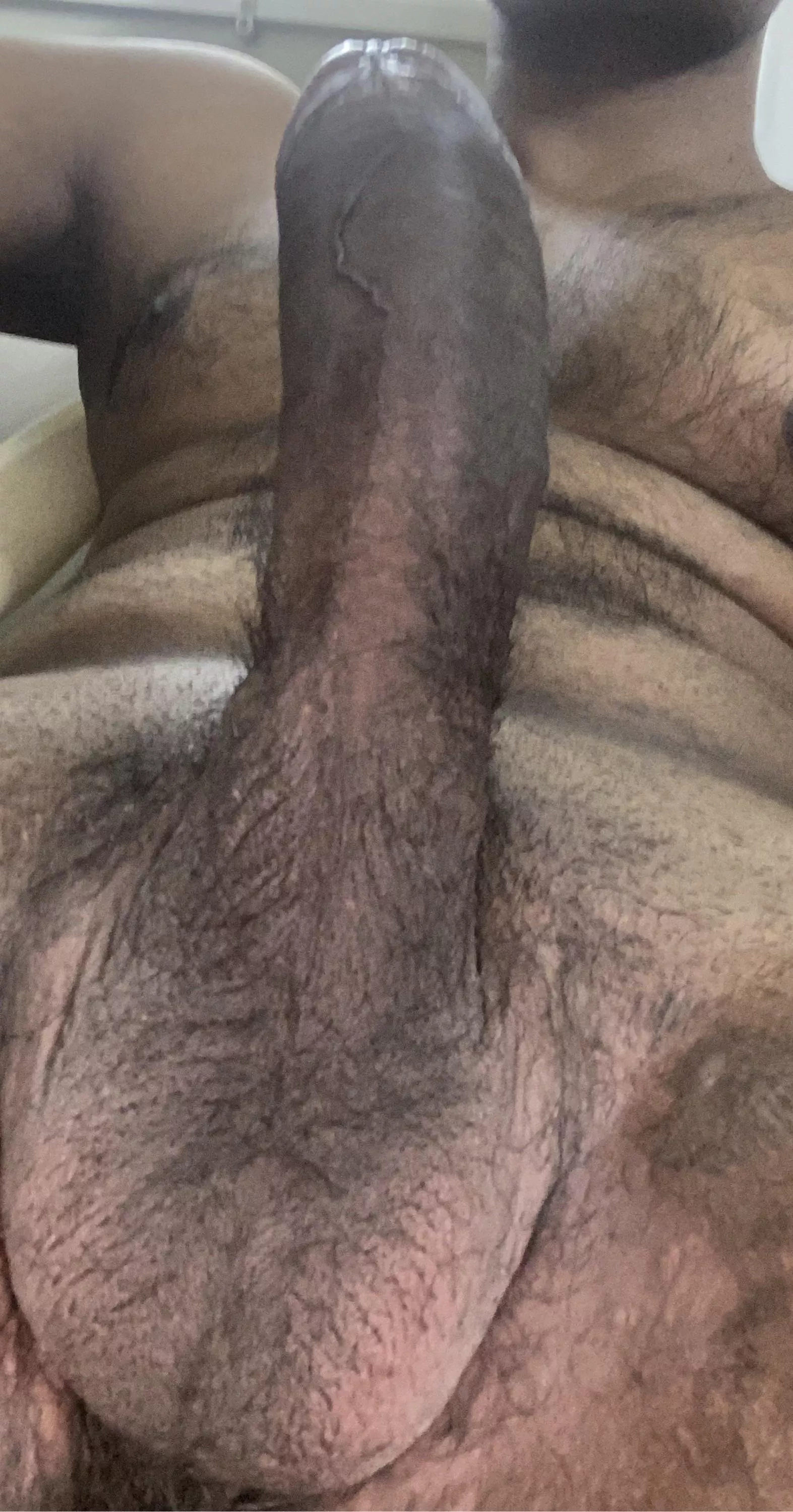 Let’s not beat-around the bush why don’t you tell me straight away the things you would do to me (24)