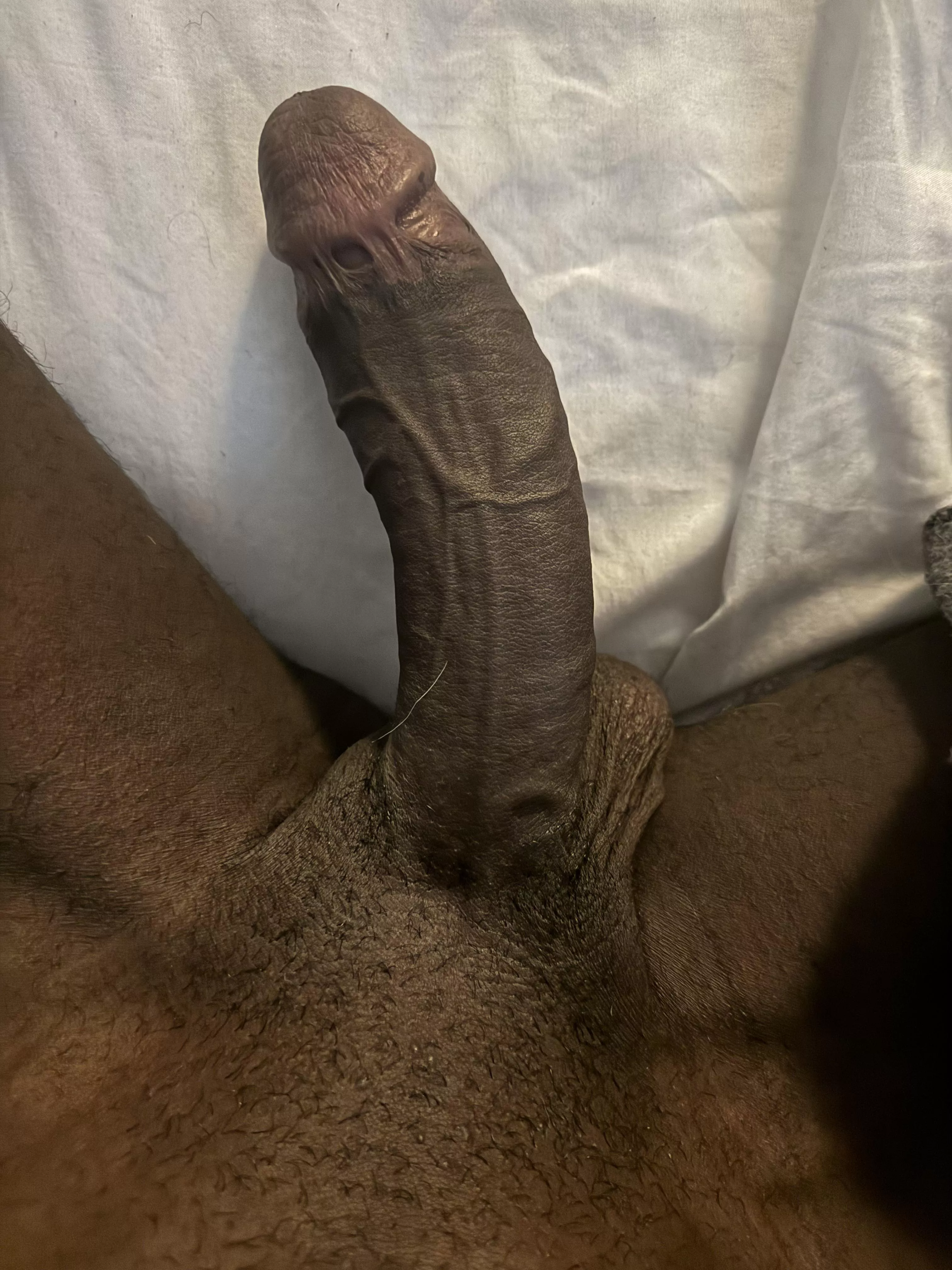 Where the bunnies at?