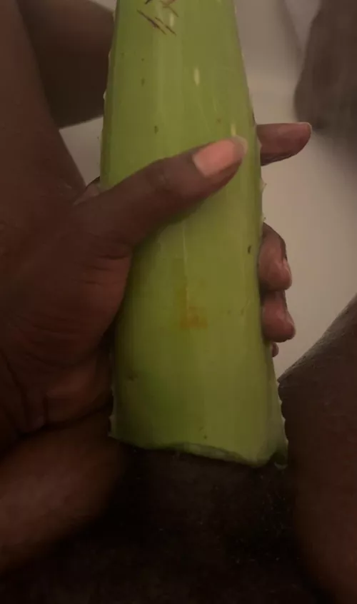 Who wants to see me fuck a aloe Vera leaf
