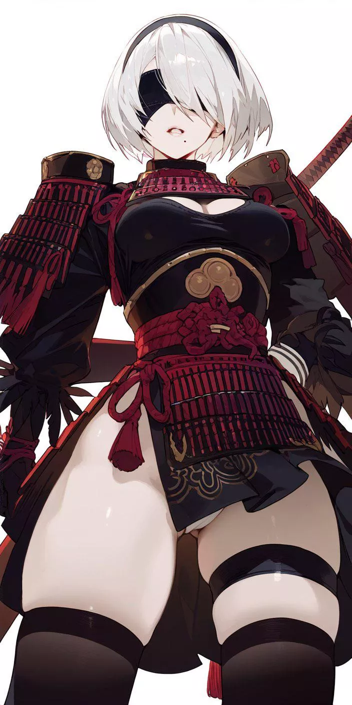 Samurai 2b