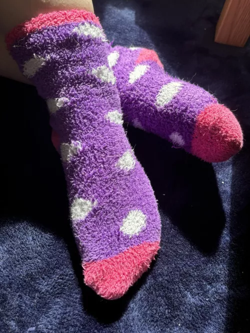 Who Doesn't Love Fluffy Socks 🥰