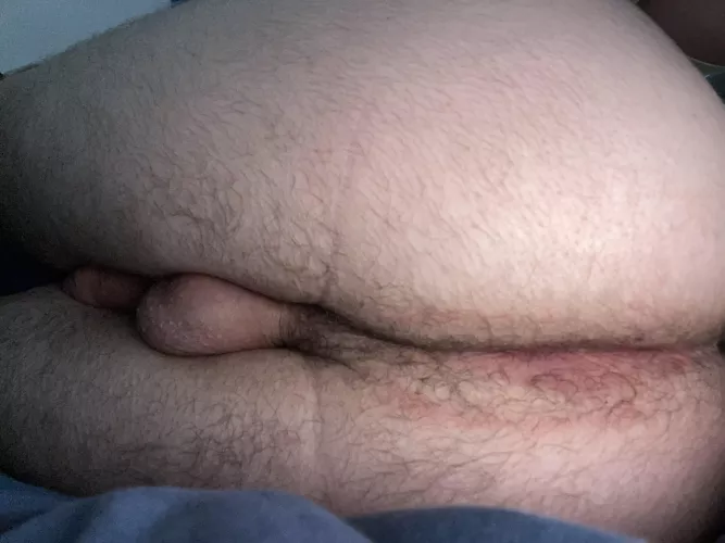 18m looking for someone to breed me