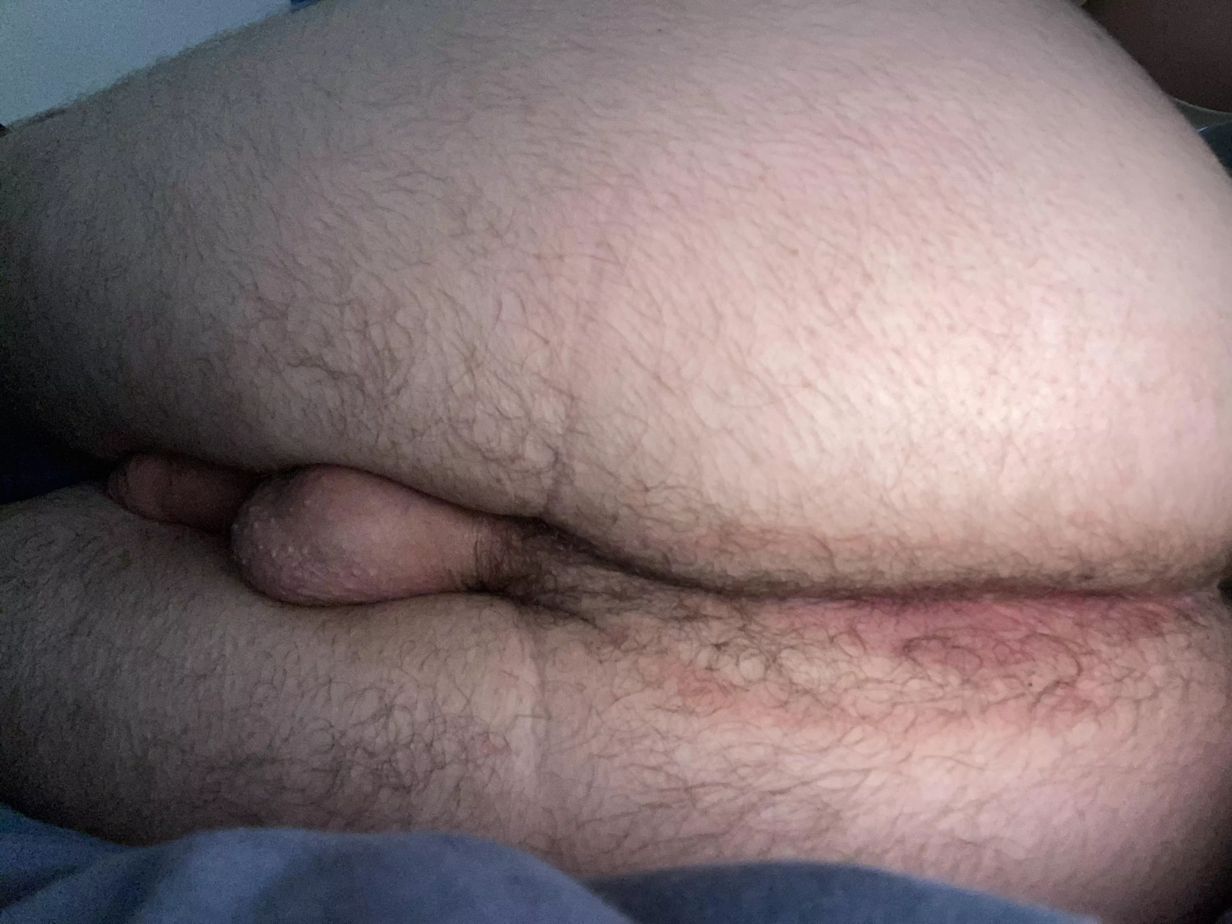 18m looking for someone to breed me