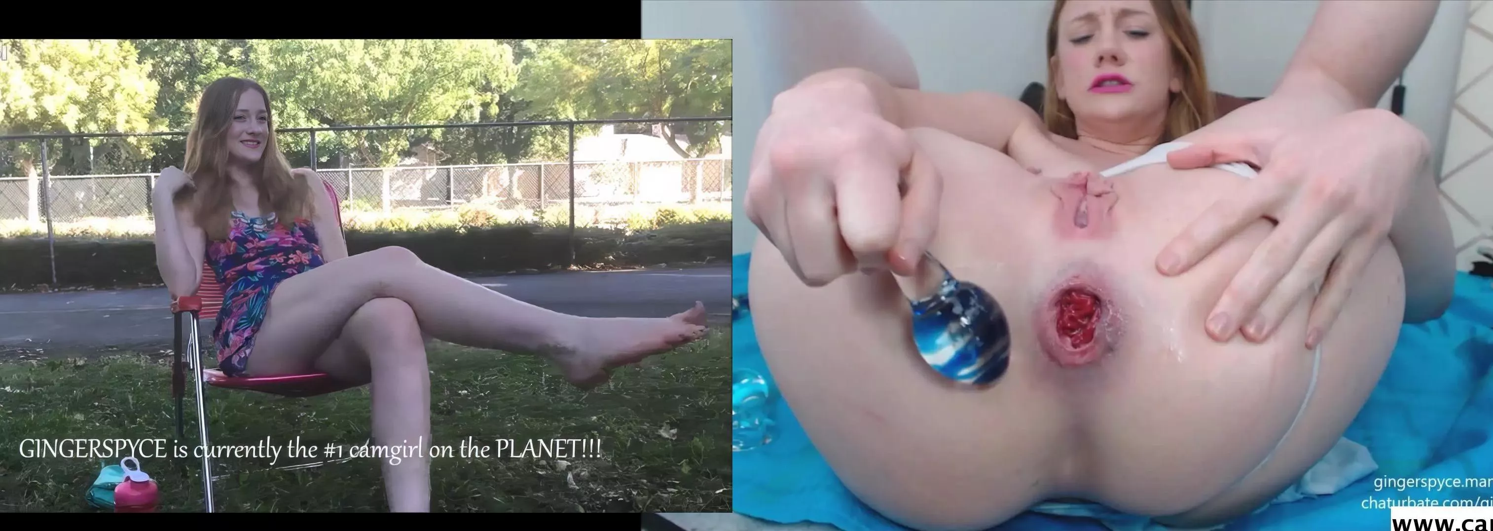 Gingerspyce and everything nice 