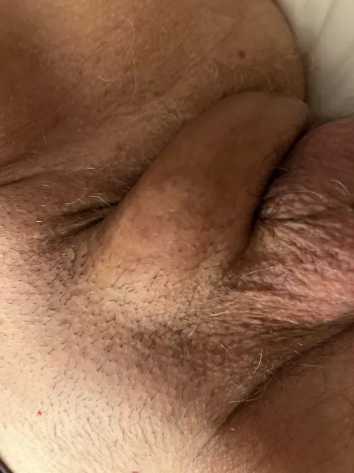 Just splooged in my back door