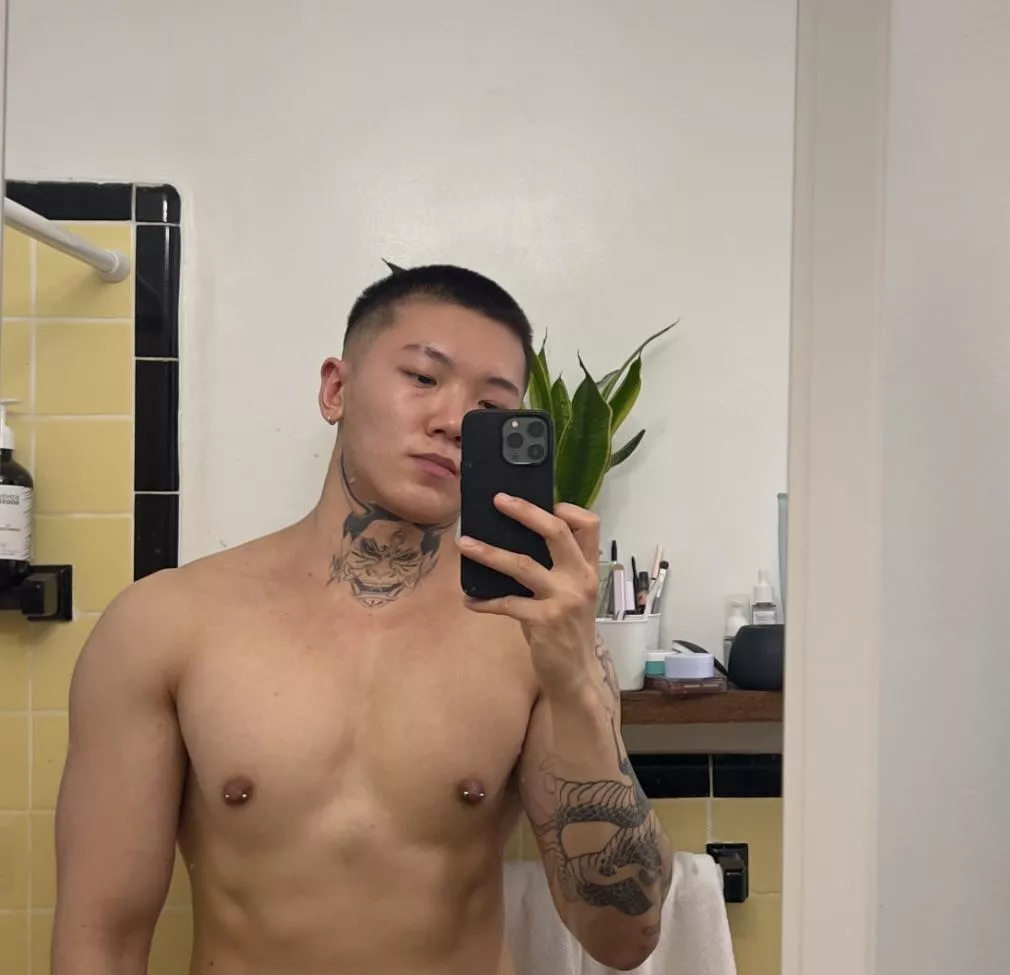 maintenance buzz , happy sunday 