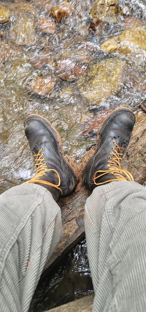 Nicks boots on an adventure! 