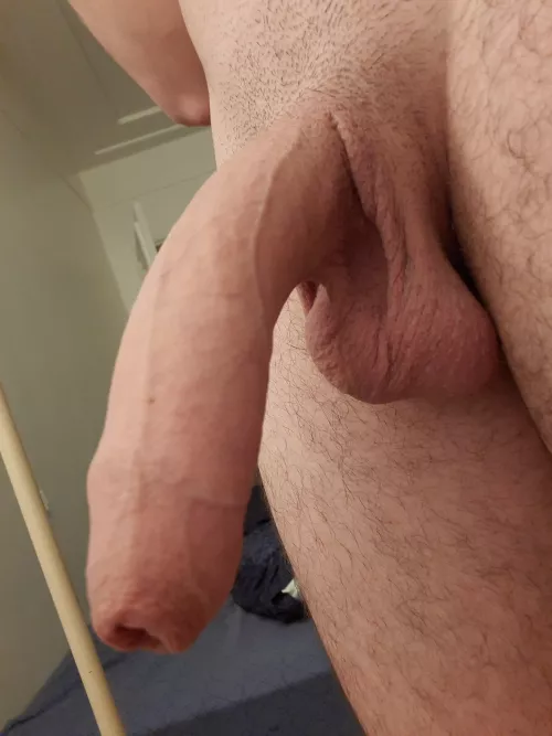 Perfect shape to pump my cum down your throat 