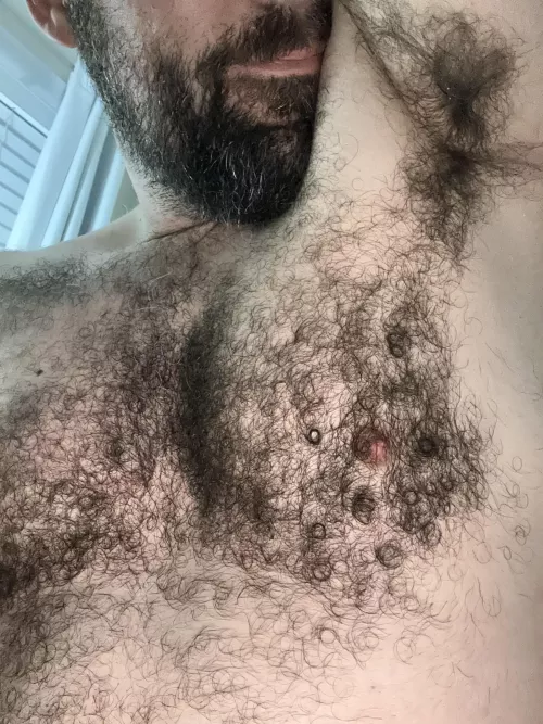 Sweaty and ringlet chest hair. Imagine the lovely scent. 