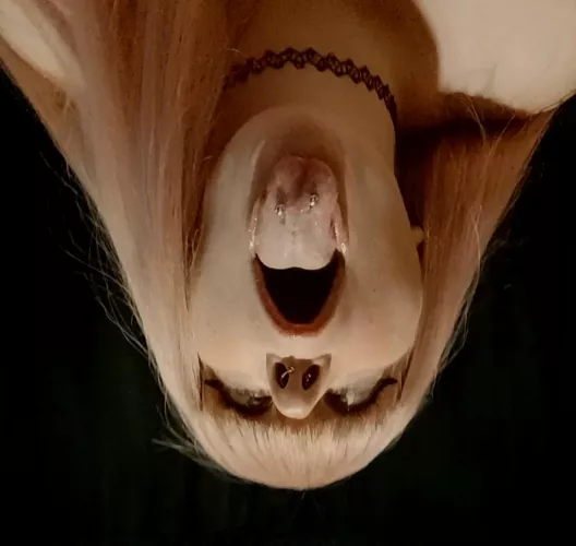 👅 tongue out for Tuesdays 👅