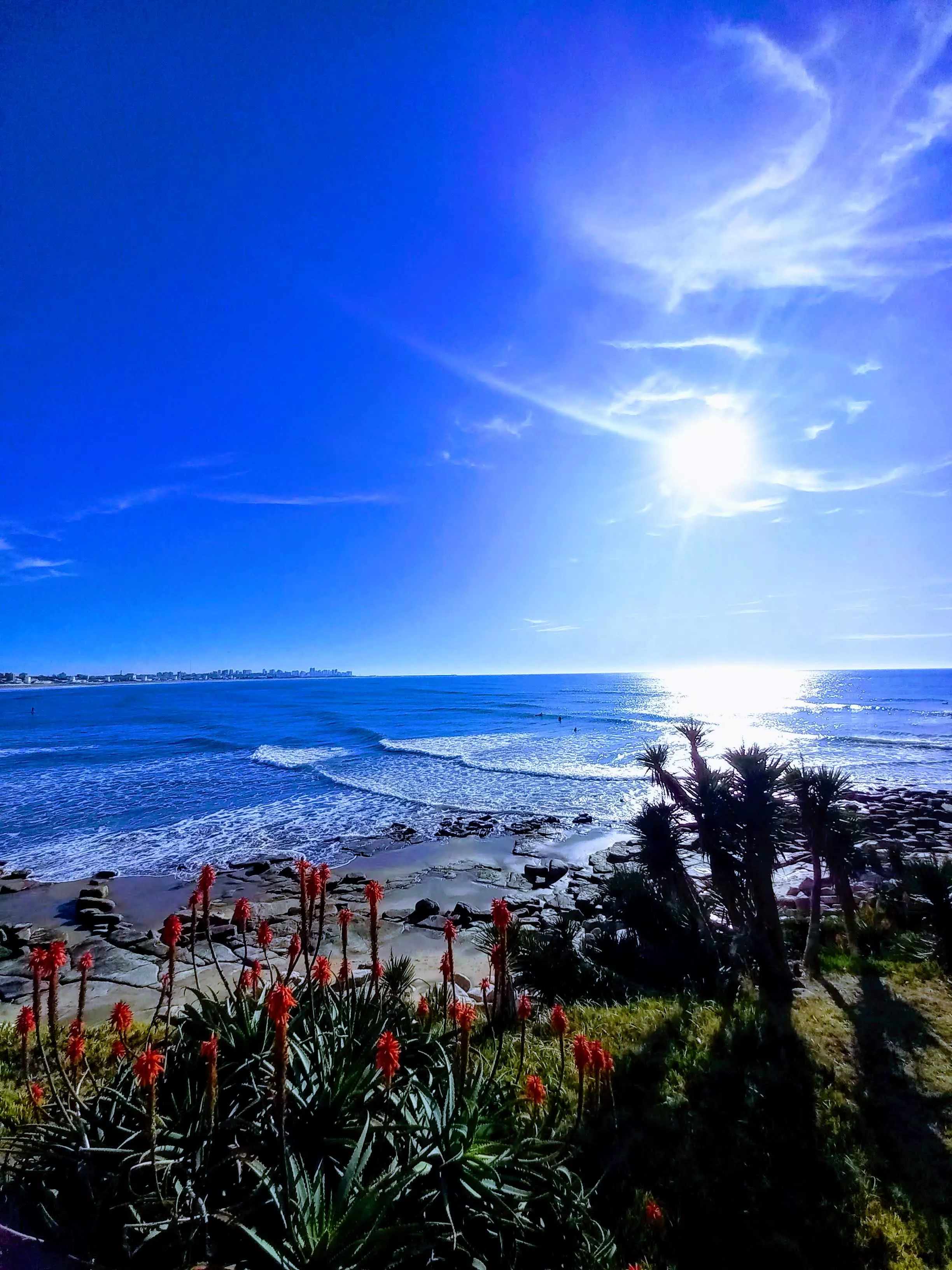 Waikiki Lookout 🌊🌺