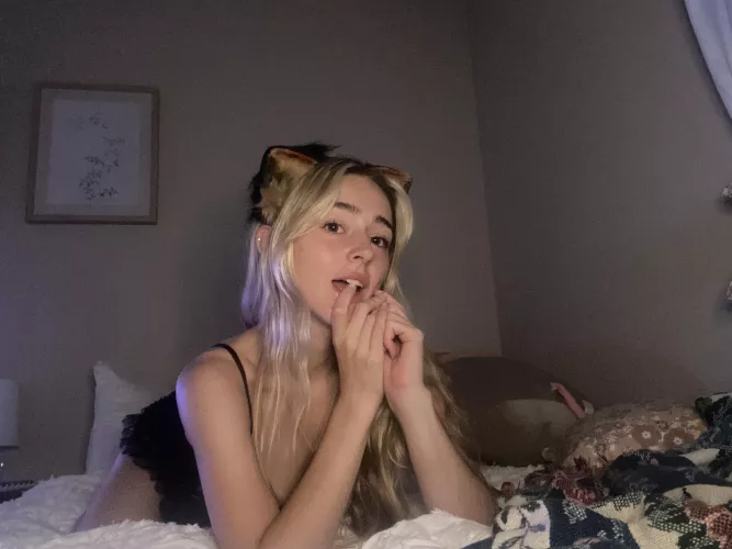 waiting for you to come pet me 