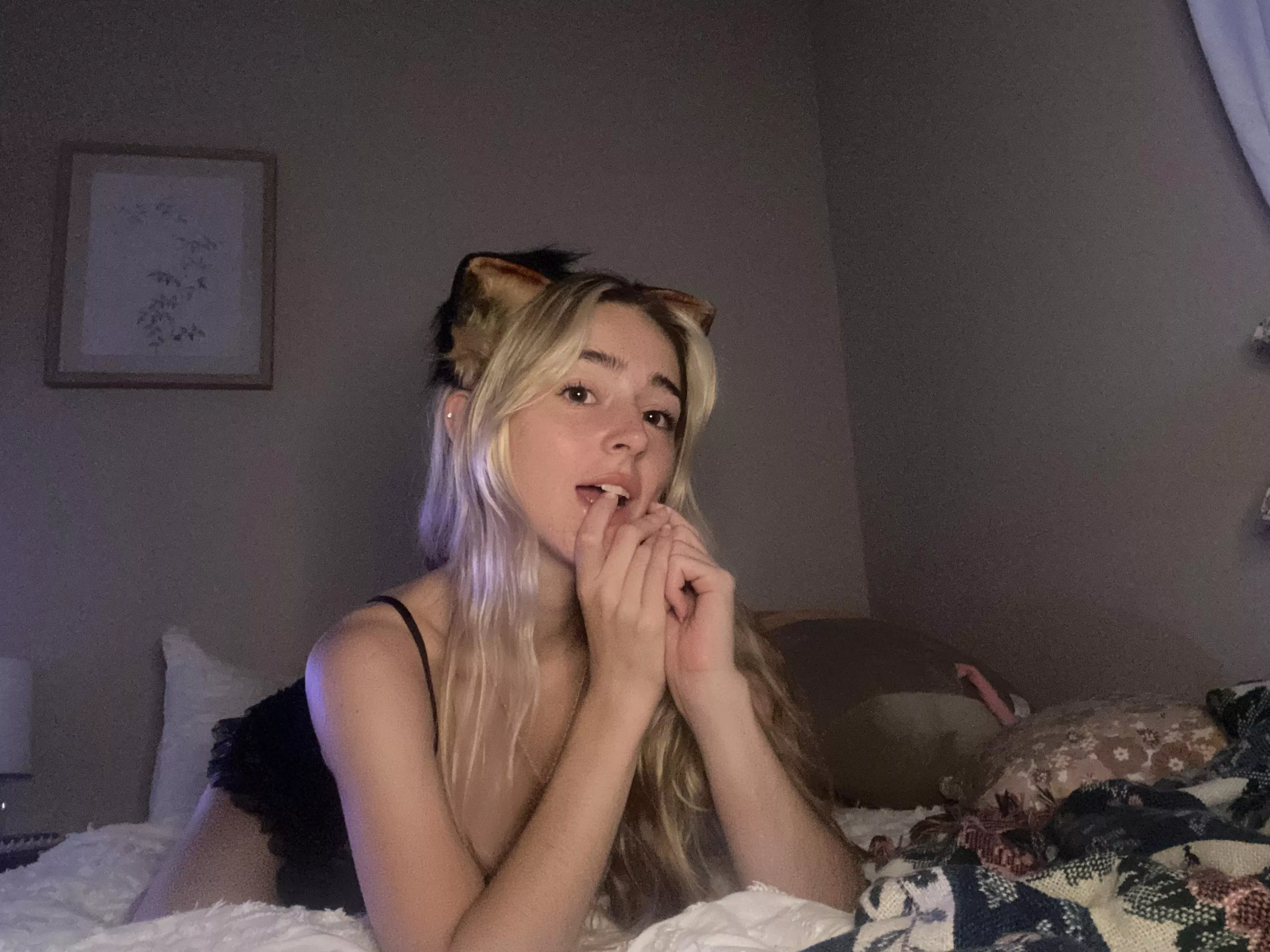 waiting for you to come pet me 