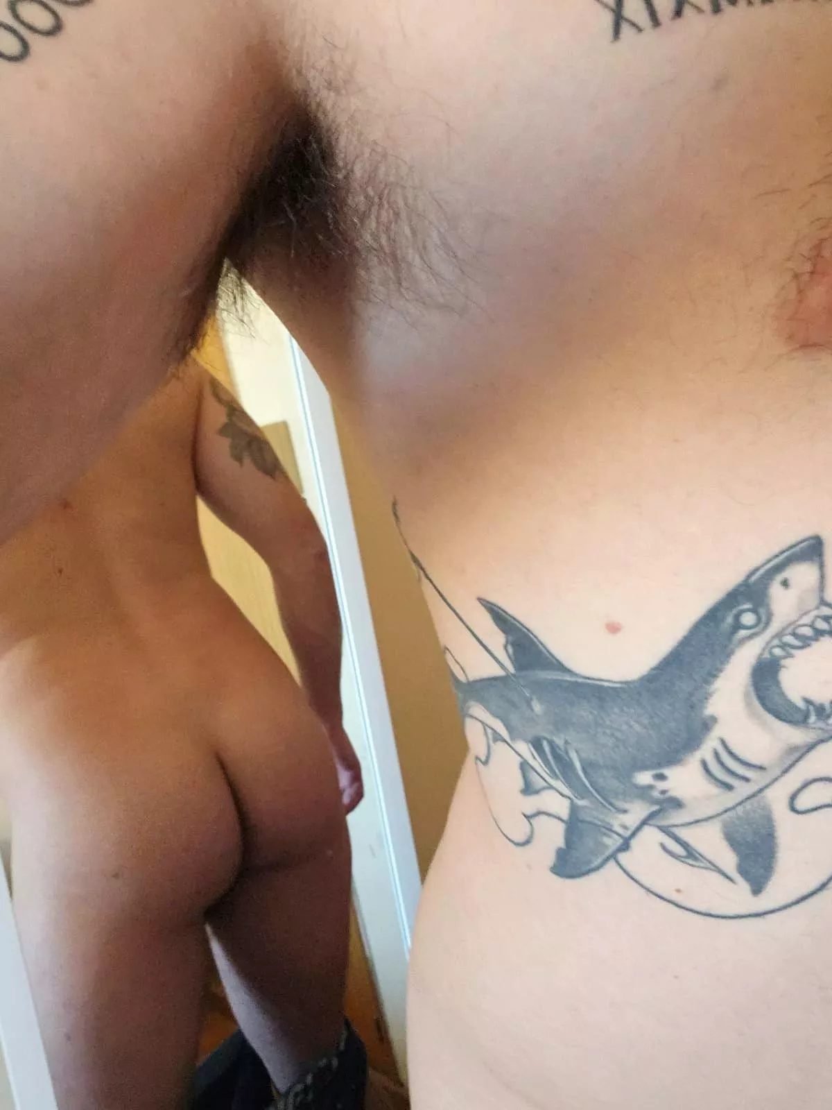 What caught your attention first?