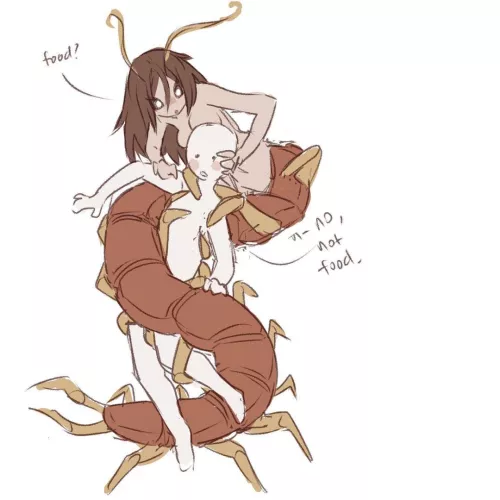 Centipedes sure are curious…. And hungry