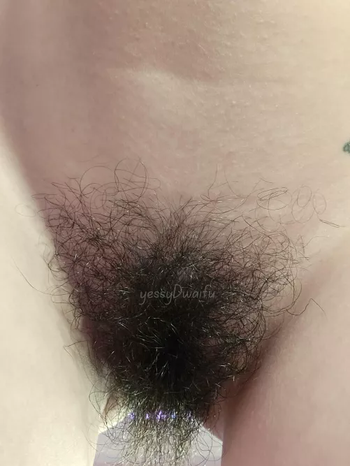 do you prefer a naturally contained bush? 