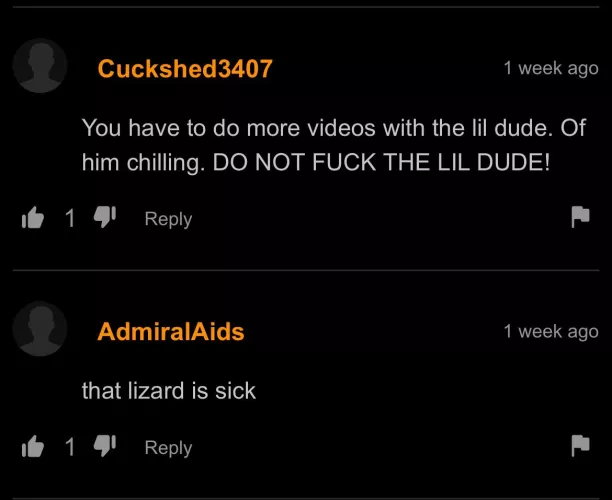 Don’t fuck the lizard 