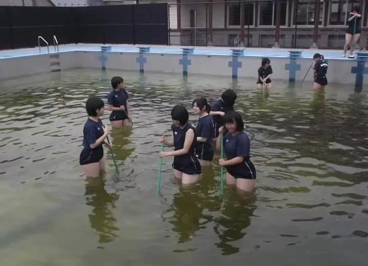 HELP! Is this a Jav or just a random picture.