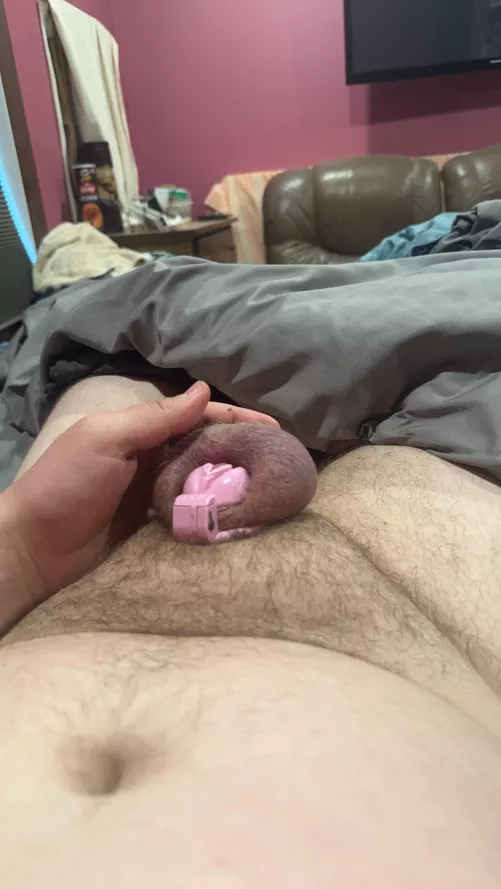 I beg an Alpha Daddy to make me your sissy bitch