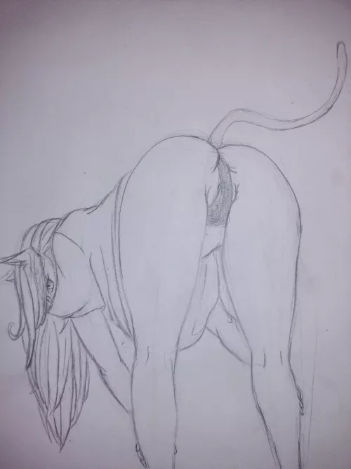 Kitten Doing Her Stretches 