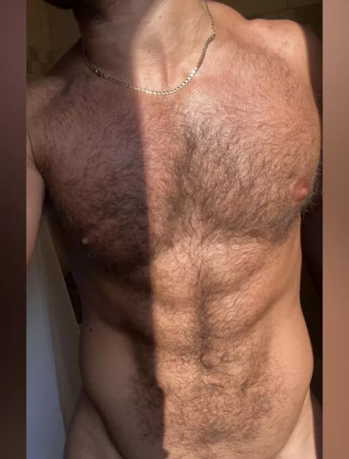 The neighbours love my furry body. I catch them staring all the time 👀