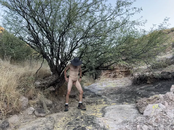 🌳 Tree Pose Tuesday 🌳