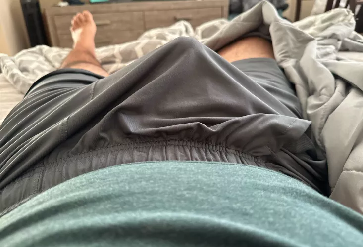 Woke up pretty hard today [40]