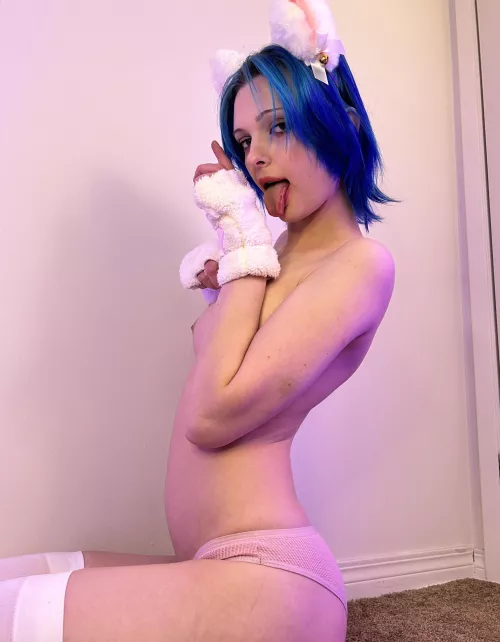 Do you think I was a cat in a past life, too