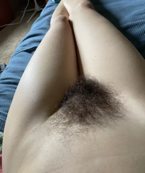 Haven’t trimmed in over a year