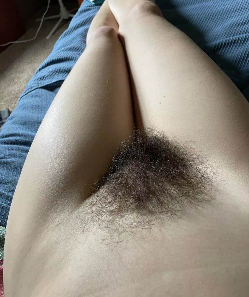 Haven’t trimmed in over a year